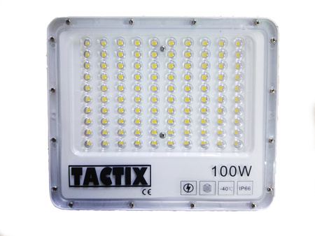 Halogen 100w