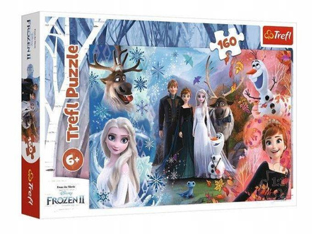 G14 Puzzle 160 el. Chcę uwierzyć snom Frozen II