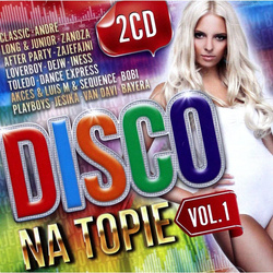 Disco Polo na topie 2CD